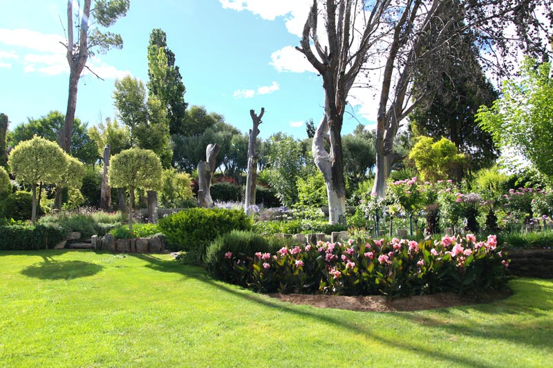 Entretien de jardin dans le Finistère